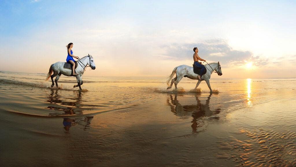 Horseback riding | TKCA